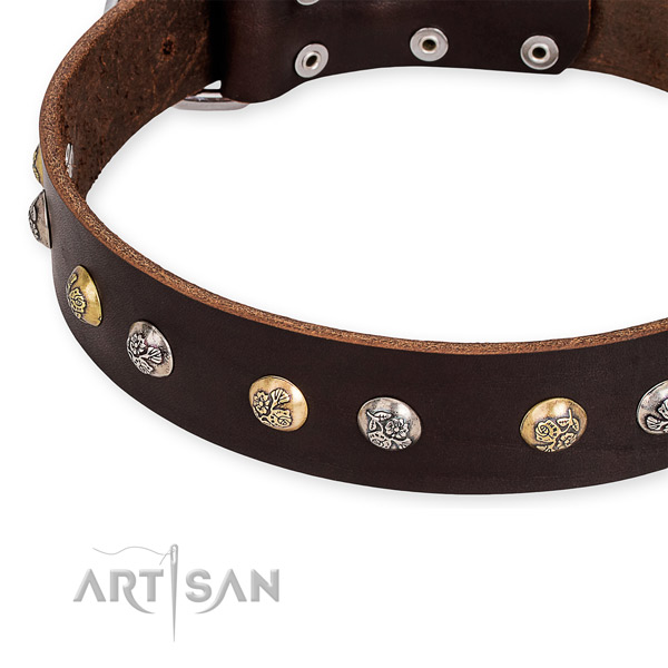 Full grain natural leather dog collar with amazing rust resistant adornments