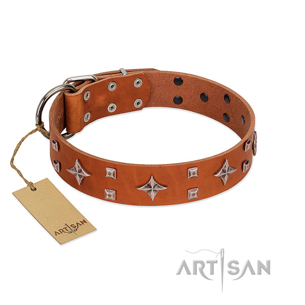 Top notch full grain genuine leather collar for your dog walking in style