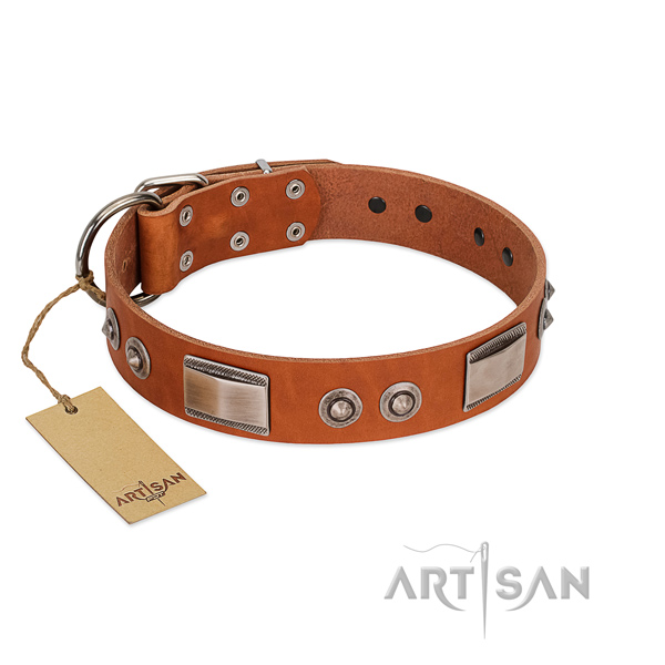 Trendy leather collar with studs for your dog