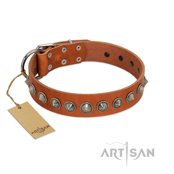 Leather dog collar with stylish adornments handcrafted dog