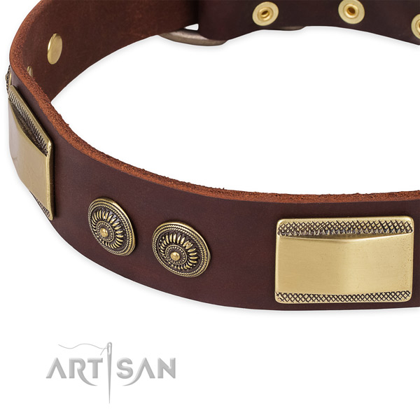 Studded full grain leather collar for your impressive pet