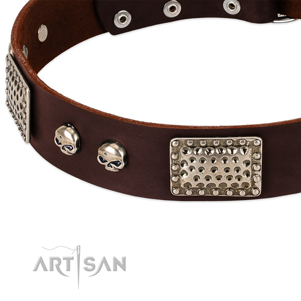 Corrosion proof adornments on natural genuine leather dog collar for your canine