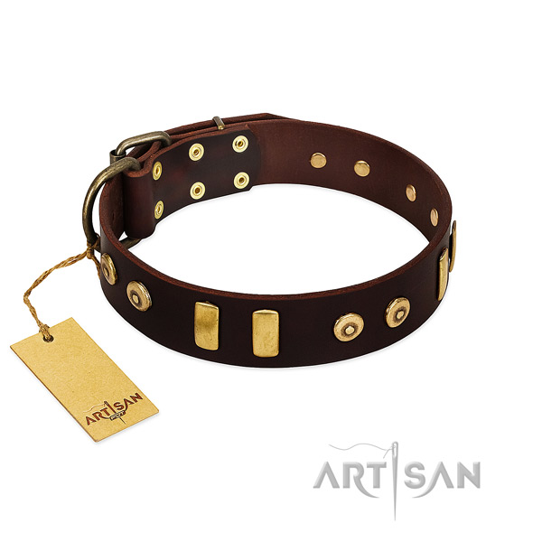 Genuine leather dog collar with stylish design adornments for everyday walking