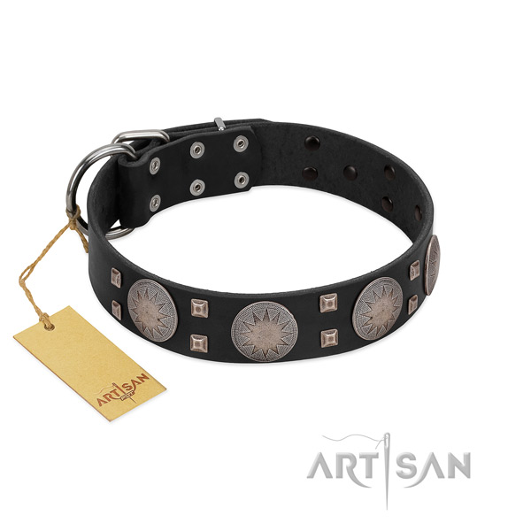 Top notch full grain leather dog collar for walking in style your doggie