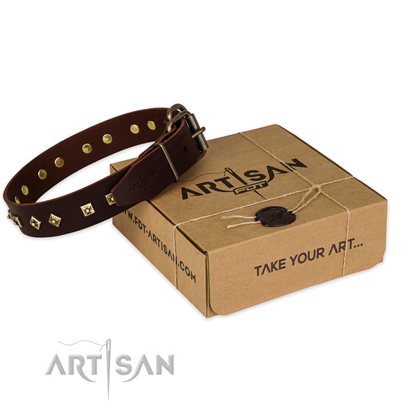 Corrosion proof fittings on full grain genuine leather dog collar for stylish walking