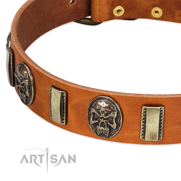 Strong adornments on full grain leather dog collar for your four-legged friend
