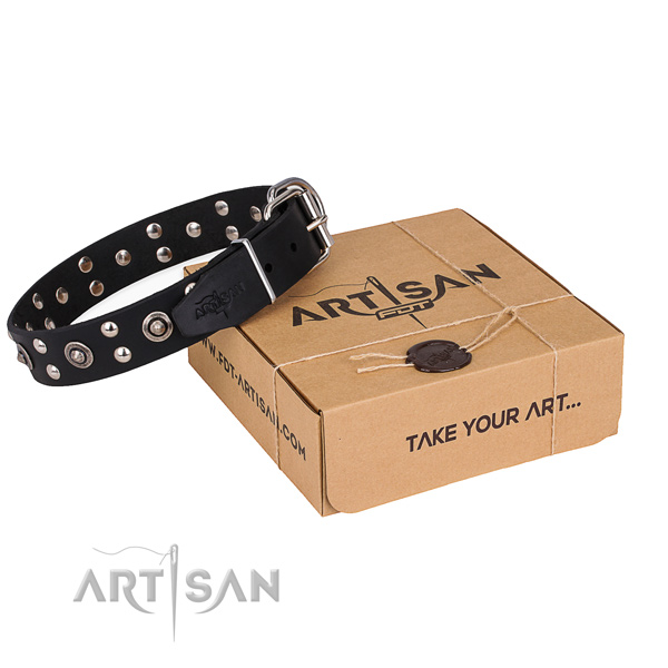Everyday use dog collar with Inimitable rust-proof embellishments