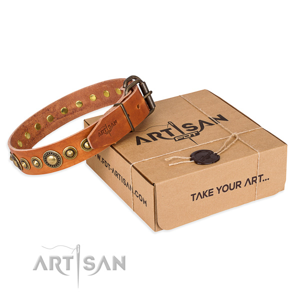 Quality genuine leather dog collar handcrafted for basic training