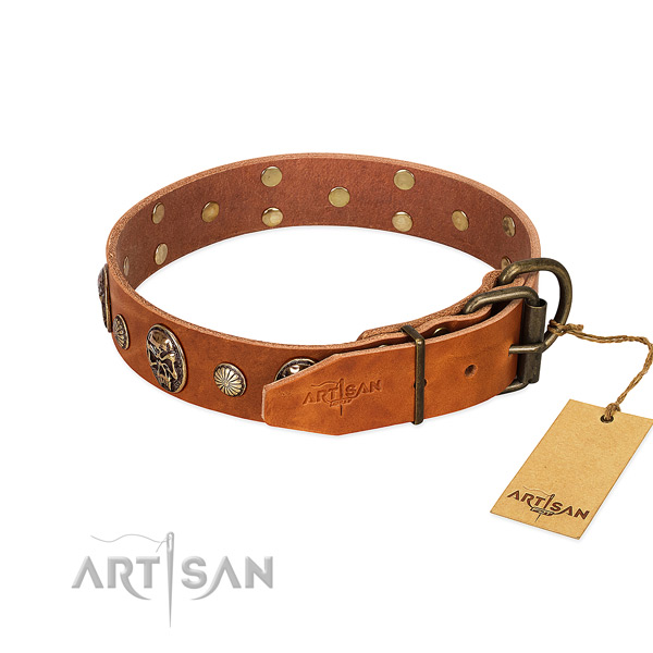 Corrosion resistant hardware on full grain genuine leather collar for basic training your four-legged friend