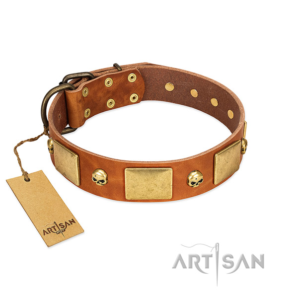 Durable full grain genuine leather dog collar with rust resistant decorations