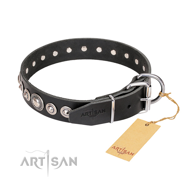 Top notch studded dog collar of full grain leather