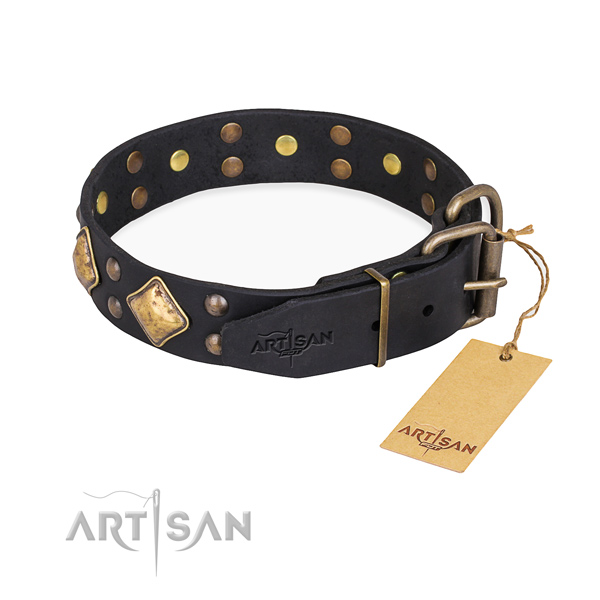 Full grain leather dog collar with extraordinary durable decorations
