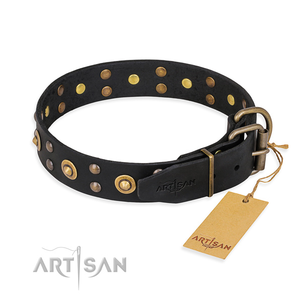 Strong traditional buckle on leather collar for your lovely dog