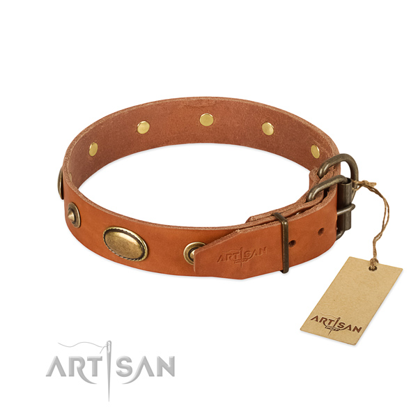 Corrosion proof decorations on full grain leather dog collar for your pet