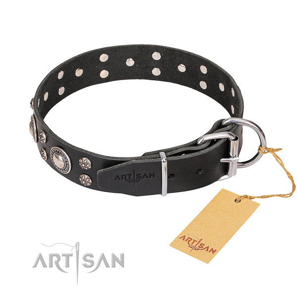 Stylish walking studded dog collar of best quality full grain natural leather