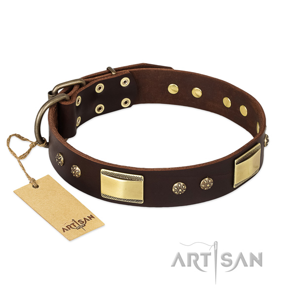 Leather dog collar with corrosion resistant buckle and embellishments
