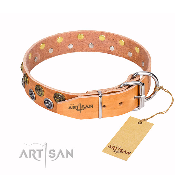 Everyday use decorated dog collar of quality natural leather
