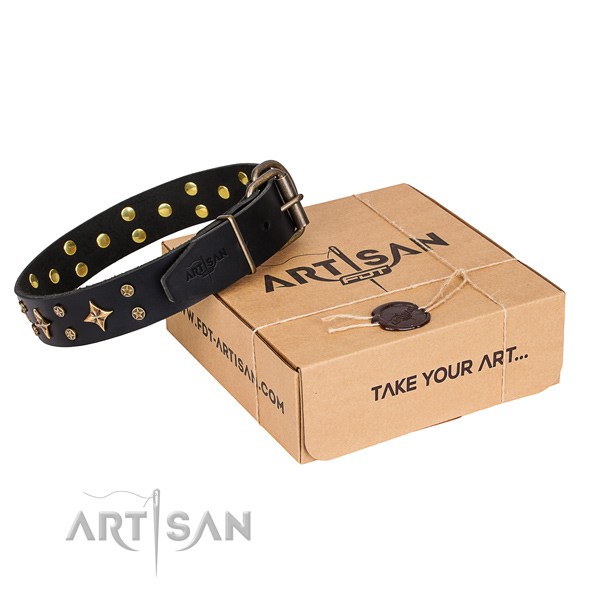Everyday walking dog collar of strong full grain natural leather with embellishments