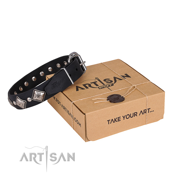 Basic training dog collar of quality leather with decorations