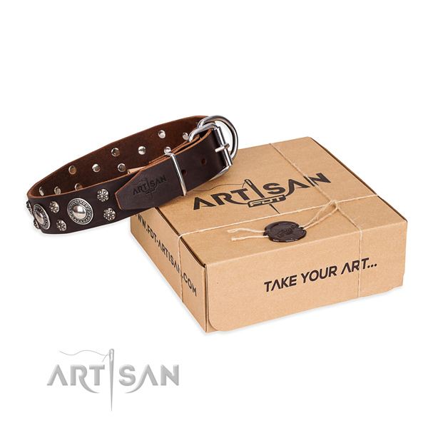 Walking dog collar of best quality leather with decorations