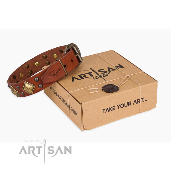 Easy wearing dog collar with Exquisite rust-proof embellishments