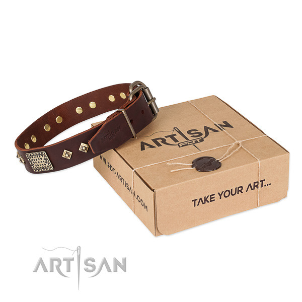 Unique genuine leather collar for your lovely doggie