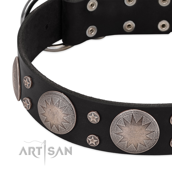 Best quality full grain genuine leather dog collar with studs for your stylish doggie