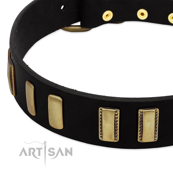 Best quality full grain genuine leather dog collar with adornments for stylish walking