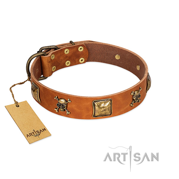 Awesome leather dog collar with corrosion resistant studs