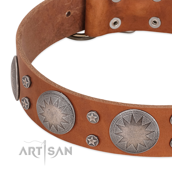 Best quality genuine leather dog collar for your attractive four-legged friend