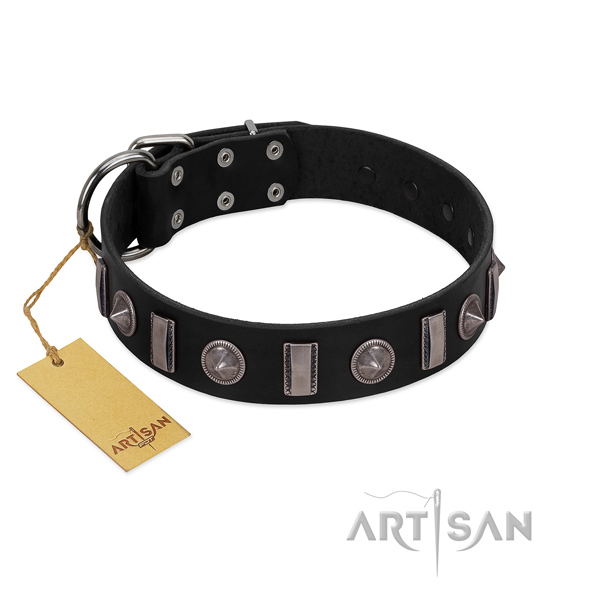 Best quality natural leather dog collar with embellishments for daily use