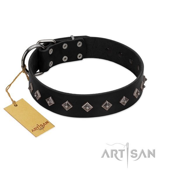 Designer embellishments on leather collar for handy use your dog