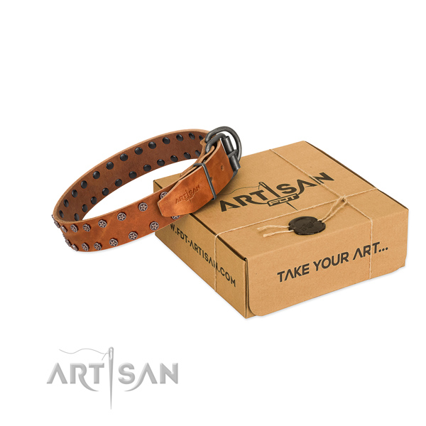 Soft leather dog collar with adornments for your stylish four-legged friend