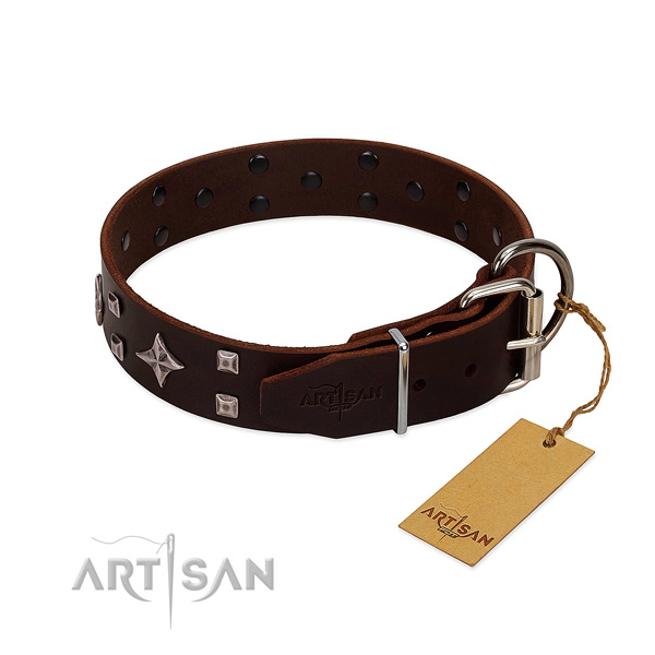 Trendy genuine leather collar for your four-legged friend stylish walks