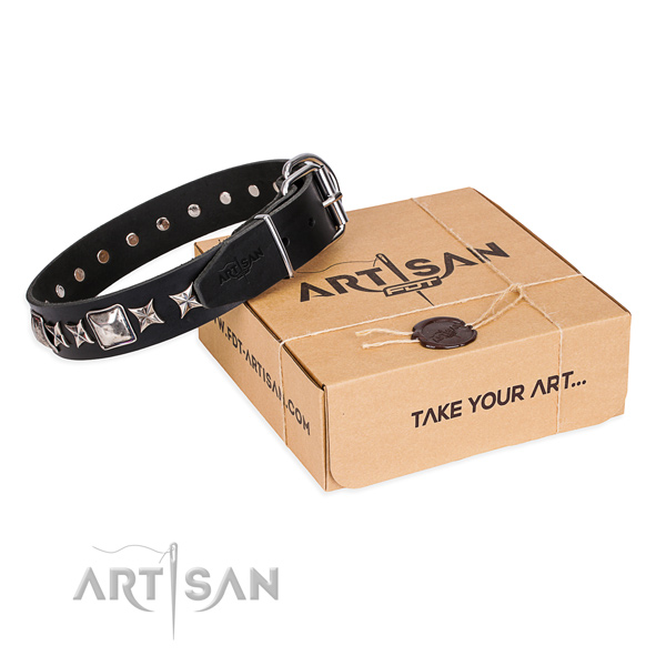 Fancy walking dog collar of top quality natural leather with studs