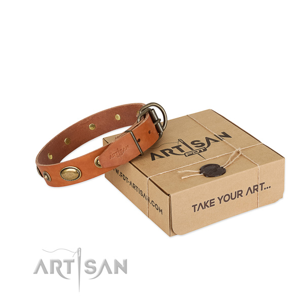 Studded full grain natural leather collar for your beautiful canine