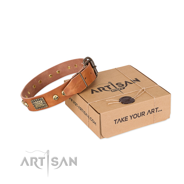 Reliable adornments on dog collar for handy use