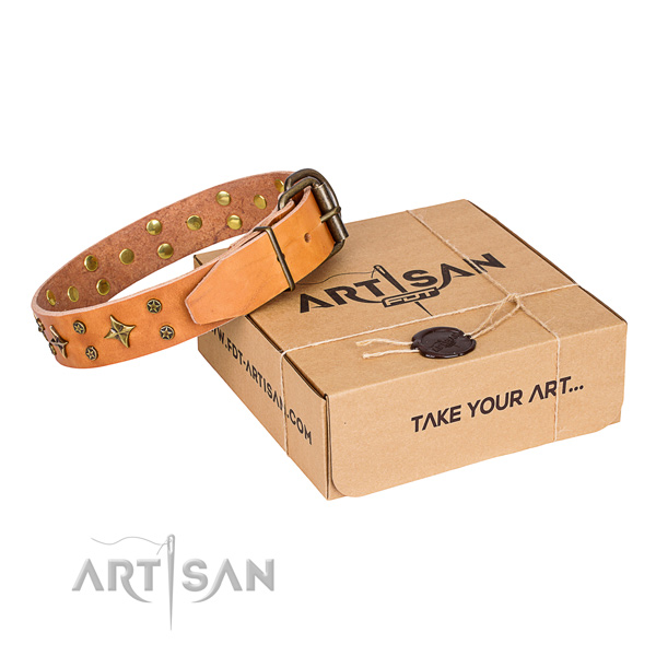 Daily walking dog collar of quality full grain natural leather with adornments