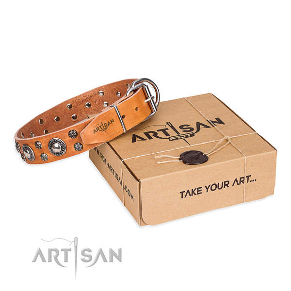 Basic training dog collar of finest quality full grain genuine leather with adornments
