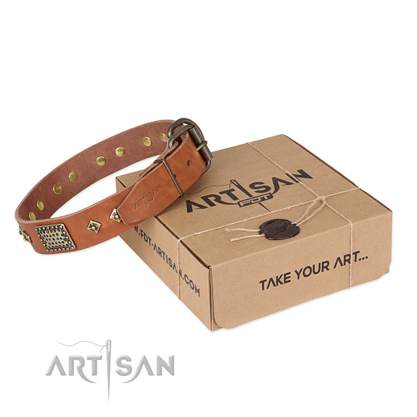 Adjustable genuine leather collar for your impressive canine