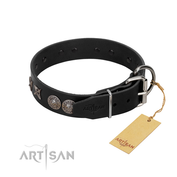 Comfy wearing dog collar of genuine leather with designer studs