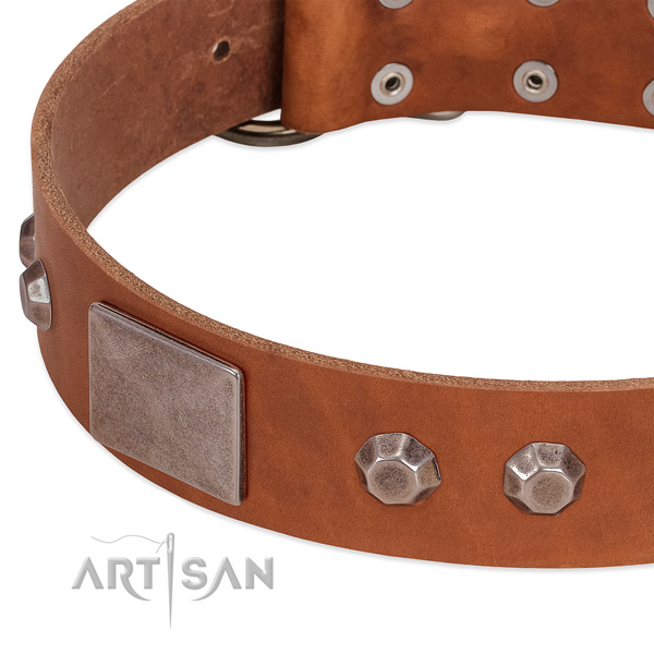 Comfy wearing flexible full grain leather dog collar