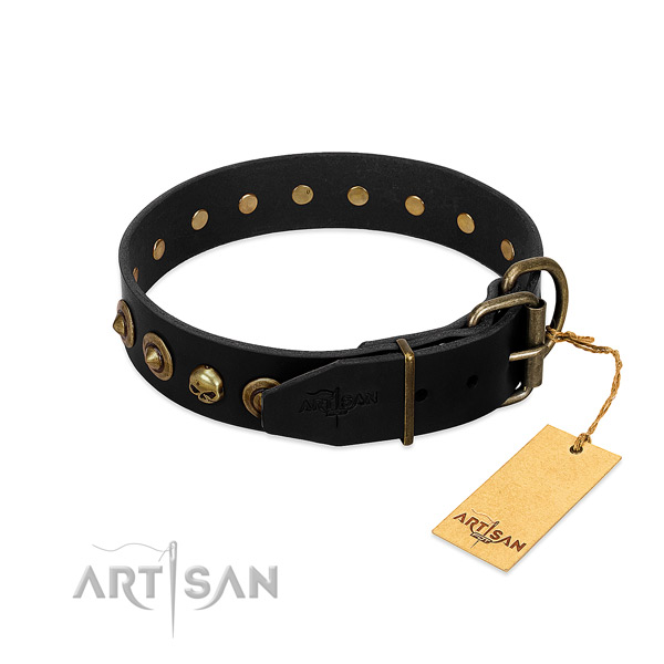 Leather collar with extraordinary studs for your pet