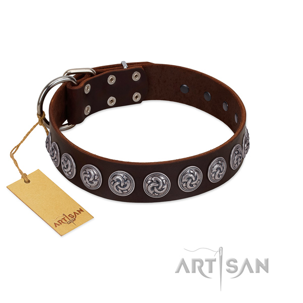 Rust resistant hardware on adorned leather dog collar