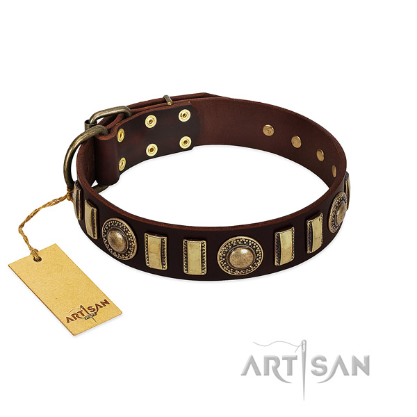 Top rate leather dog collar with strong buckle