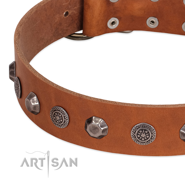 Stunning genuine leather collar for your doggie stylish walking