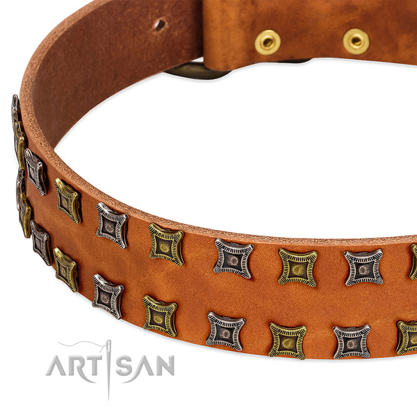 Strong genuine leather dog collar for your attractive dog
