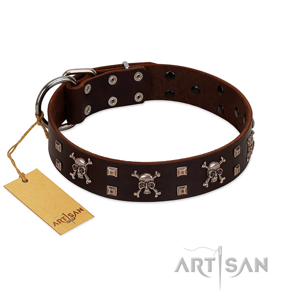 Leather dog collar with exquisite adornments