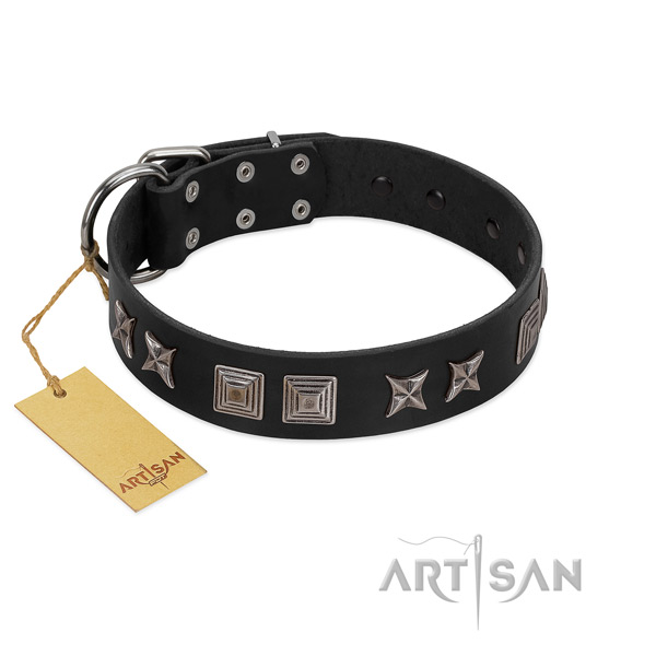 Natural leather dog collar with incredible embellishments created pet