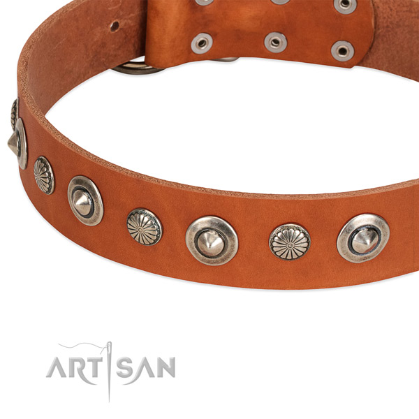 Full grain genuine leather collar with reliable hardware for your beautiful dog
